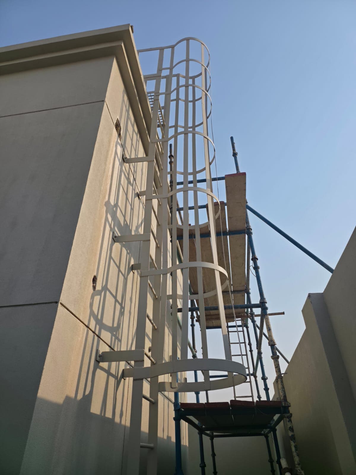 Cage Ladder