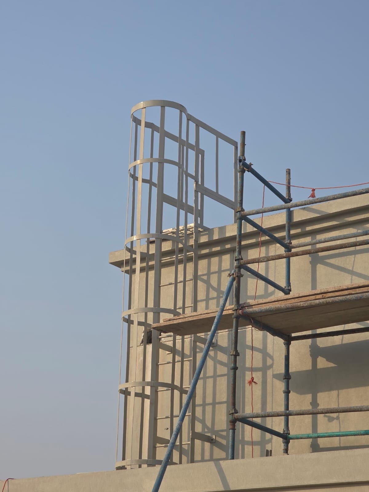 Cage Ladder