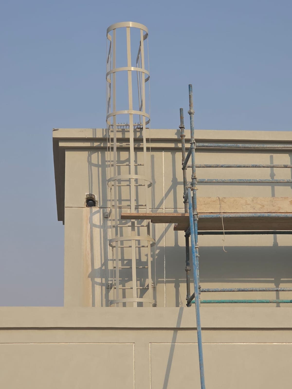 Cage Ladder