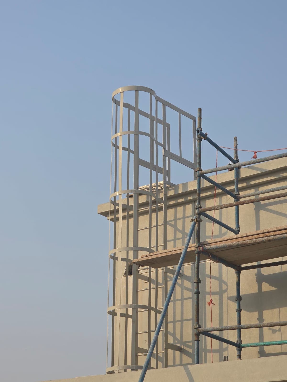 Cage Ladder