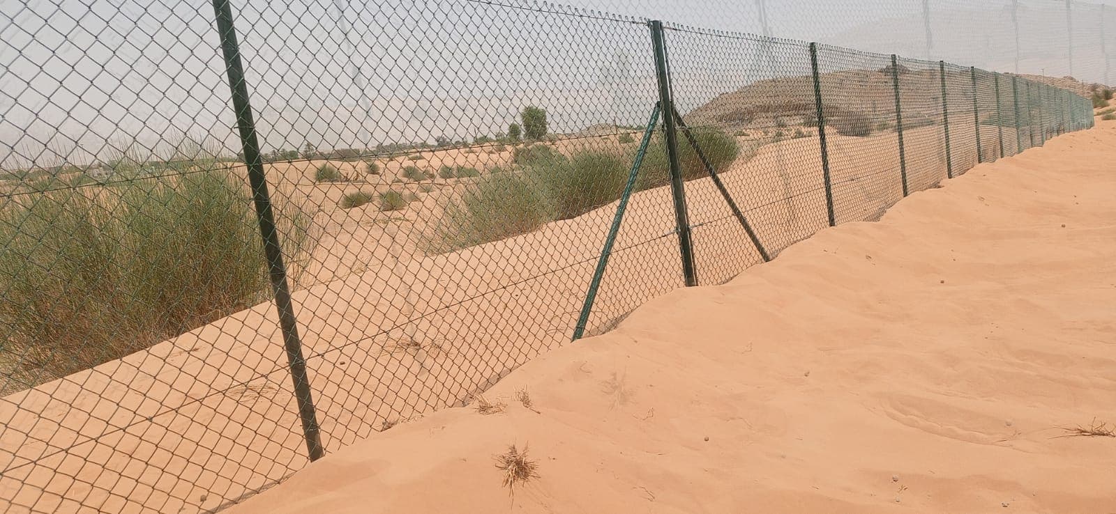 Chain Link Fence Project Photo